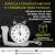 TERAPIA DE VIDAS PASSADAS FEIRA DE SANTANA BA 75 991269051 whatsapp PR