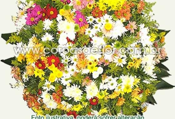 [Santa Casa de BH Coroas de Flores BH Entregas de coroas em todas Regiõ]