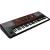 Korg PA700 Arranjador Profissional de 61 Teclas com Tela Sensível ao T