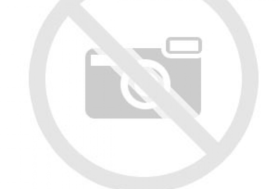 [Diesel Fuel Injector Nozzles L228PBC]